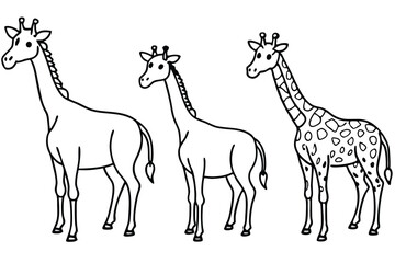 Fototapeta premium Giraffe line art illustration Design Concepts