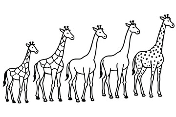 Giraffe line art illustration Design Concepts