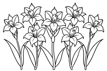 Gladiolus line art illustration Design Concepts