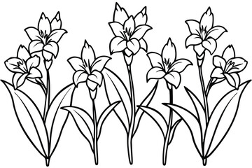 Gladiolus line art illustration Design Concepts