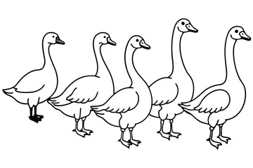 Fototapeta premium Goose line art illustration Design