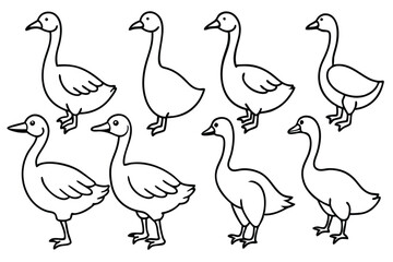 Goose line art illustration Design