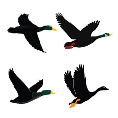 A group of ducks are flying in the open sky