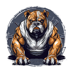 Obraz premium shirt design Buldog gym angry, aggressive illustration