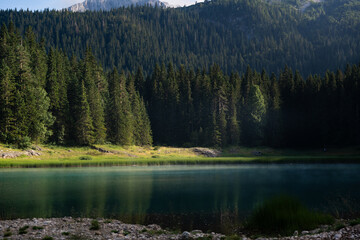 View of beautiful Black lake (Crno jezero) in National park Durmitor, Zabljak, Montenegro with turquoise water and trees. Scenic nature landscape