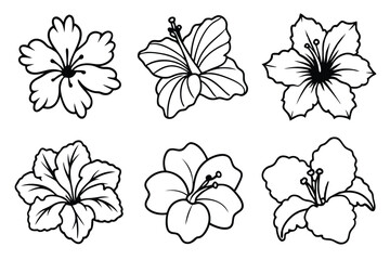 Obraz premium Hibiscus line art illustration Design Concepts