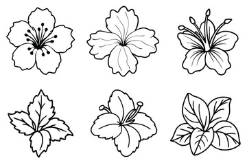 Hibiscus line art illustration Design Concepts