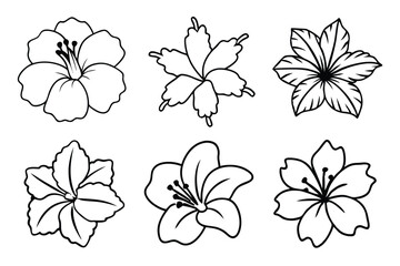 Obraz premium Hibiscus line art illustration Design Concepts