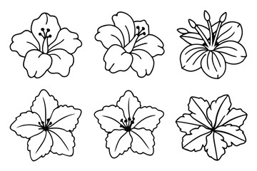 Hibiscus line art illustration Design Concepts
