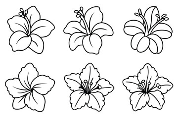 Hibiscus line art illustration Design Concepts