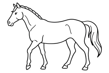 Horse line art illustration Design Concepts
