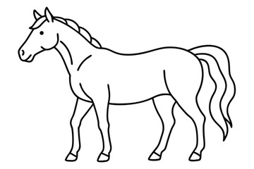 Horse line art illustration Design Concepts
