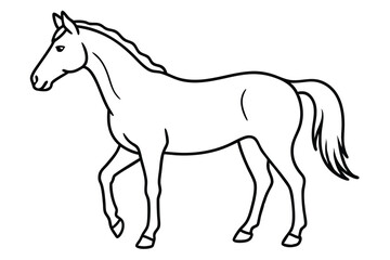 Horse line art illustration Design Concepts