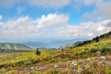 Mountain landscape in summer morning - mountain range and slopes haze covers. Sparse vegetation, dwarf trees, burnt grass on rocky soil, but such divine beauty and power of wild nature