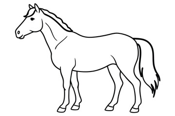 Horse line art illustration Design Concepts