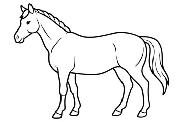 Horse line art illustration Design Concepts