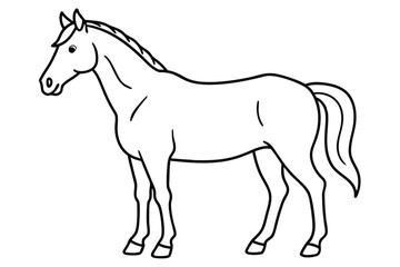 Horse line art illustration Design Concepts