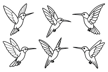 Hummingbird line art illustration Design Concepts