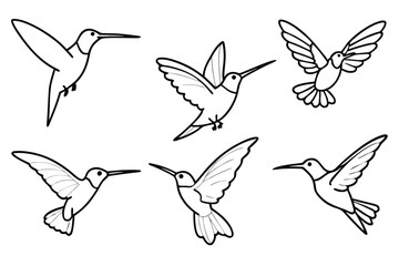 Hummingbird line art illustration Design Concepts