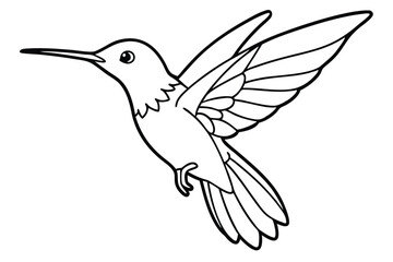 Hummingbird line art illustration Design Concepts