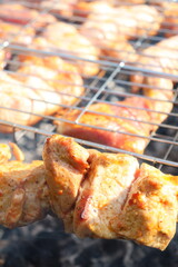 barbeсue pork and chicken roasting on a fire in the garden