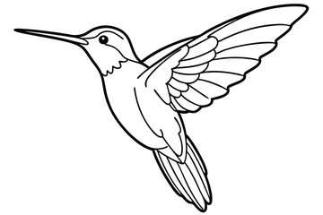 Hummingbird line art illustration Design Concepts