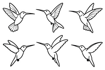 Hummingbird line art illustration Design Concepts