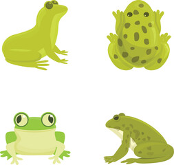 Green frog icons set cartoon vector. Various cartoon wild frog. Amphibian reptile