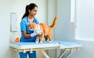 Professional Indian Female Veterinarian in Blue Scrubs Conducting Health Check on Orange Cat