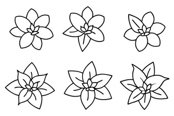 Fototapeta premium Jasmine line art illustration Design Concepts