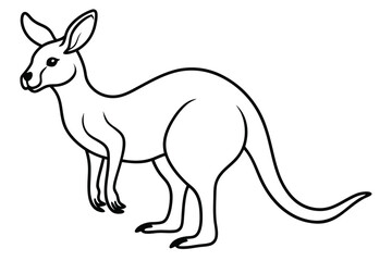 Kangaroo line art illustration Design Concepts