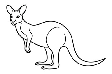 Kangaroo line art illustration Design Concepts