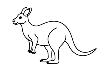 Kangaroo line art illustration Design Concepts