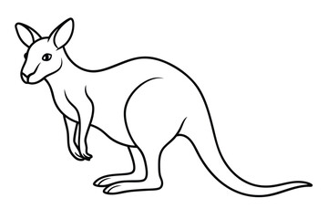 Kangaroo line art illustration Design Concepts