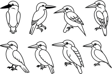 Kingfisher bird line art illustration