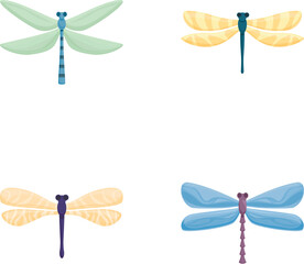 Cartoon dragonfly icons set cartoon vector. Beautiful colorful dragonfly. Nature, insect