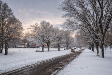 Snowy path through winter forest with frozen trees under a blue sky