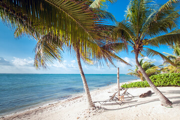 Obraz premium A tranquil beach scene with palm trees swaying over white sandy shores and clear blue waters. Two lounge chairs invite relaxation under the shade of the palm fronds.