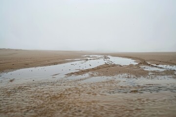 Rare Rainy Day in the Desert with Raindrops Creating Puddles on Sand Under Overcast Sky
