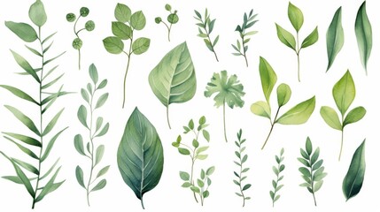 A beautiful collection of watercolor botanical leaves in various shapes and shades of green, ideal for nature themed designs and illustrations isolated on white