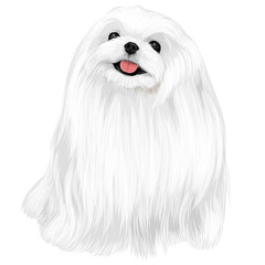 Tiny Yorkshire terrier puppy cartoon drawing dog drawing funny post dog lover