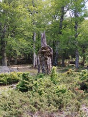 hiking the beautiful GR20 trail in corsica