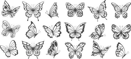 Silhouettes of butterflies