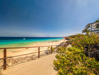 Aerial views of Butihondo and Jandia beach, Fuerteventura, Canary Islands