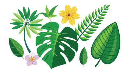 Tropical leaves. Cartoon jungle exotic palm plants and flowers. Banana, philodendron, plumeria, monstera leaf isolated on white background. Floral element vector set  © TA graphic design
