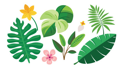 Tropical leaves. Cartoon jungle exotic palm plants and flowers. Banana, philodendron, plumeria, monstera leaf isolated on white background. Floral element vector set 
