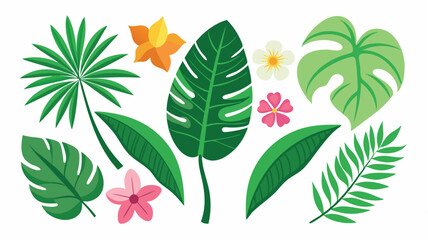 Tropical leaves. Cartoon jungle exotic palm plants and flowers. Banana, philodendron, plumeria, monstera leaf isolated on white background. Floral element vector set  © Tanvir