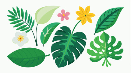 Tropical leaves. Cartoon jungle exotic palm plants and flowers. Banana, philodendron, plumeria, monstera leaf isolated on white background. Floral element vector set  © Tanvir