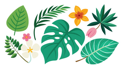 Tropical leaves. Cartoon jungle exotic palm plants and flowers. Banana, philodendron, plumeria, monstera leaf isolated on white background. Floral element vector set 