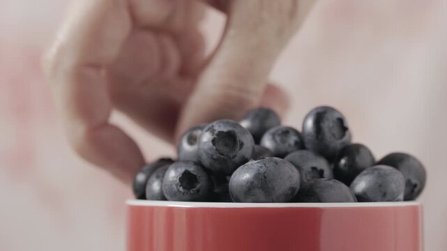 Taking fresh ripe blueberries